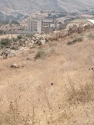 Farm Land for Sale in Jerash Other