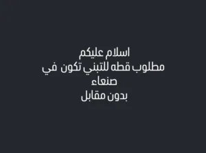 اسلام عليكم مطلوب قطه للتبني تكون في صنعاء بدون مقابل