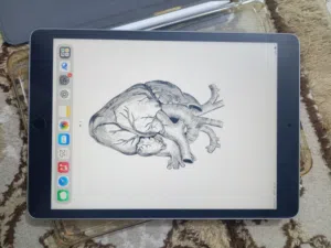 Apple iPad (9th generation)