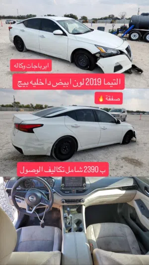 التيما 2019