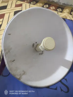نانو استعمال قليل وضال فوك البيت