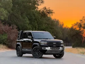 BYD / LEOPARD / 5 / PILOT / 2024