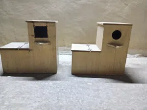 كوخ ببغاء عدد 2