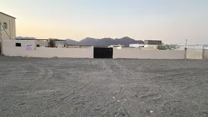 ‏صناعية ‏.‏ سنوي ‏.‏ 1119 م٢‏3