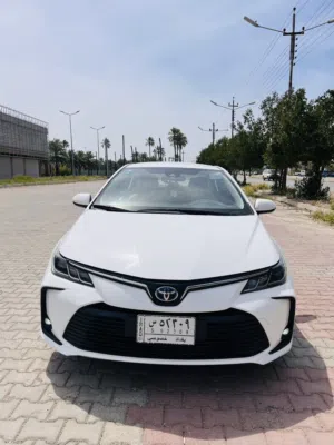 كورلا هايبرد 21