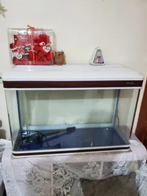 حوض اسماك خارجي غطاء المنيوم مع الفلتر و الاضائة والعاب مقاس عرض 80/عمق 35 /ارتفاع 45 السعر 80 الف