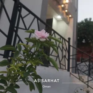 الحوسني 