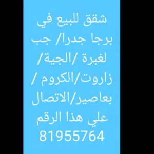 بسام 