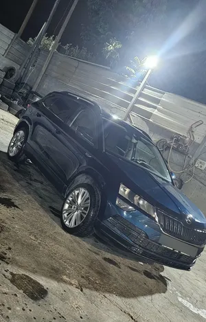 Skoda . Karoq . 2020 . Used4