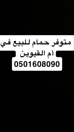 حمام للبيع