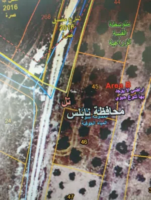 Residential Land for Sale in Nablus Tal Village