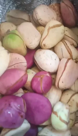 ‏فيتامينات ومكملات غذائية‏1