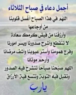 شقه للايجار في شارع بنغازي