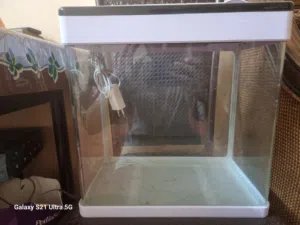 Medium Size Aquarium