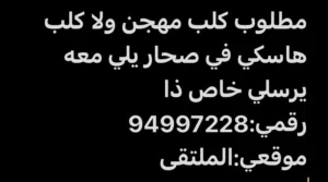 مطلوب كلب يكون في صحار الوصف مهم