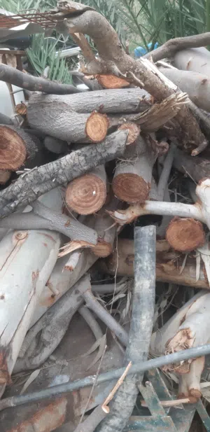 حطب مواقد ناشف زيتون وأشجار مثمره مقطع قطع صغيره وقطع كبيره  للفنون والمناظر والتحف بسعر مناسب