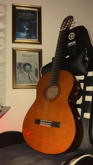 Yamaha c40 guitar