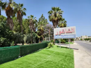 Commercial Land for Sale in Nablus Beit Iba