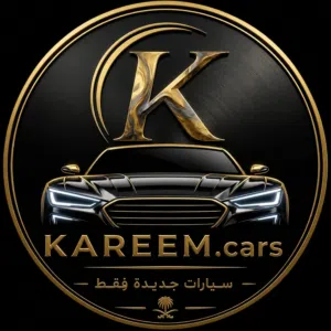 kareem mohamed 