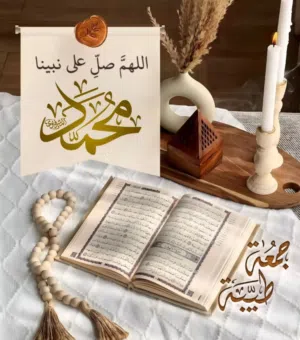 Waseem alkhawaldeh 