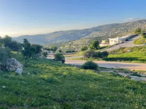 Residential Land for Sale in Amman Abu Al-Sous