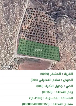 ارض المشقر 4100م2 اراضي عمان مزرعة زيتون