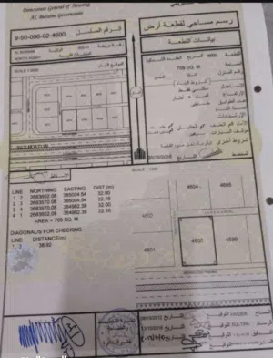ارض سكينه للبيع في البريمي