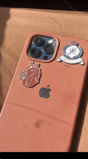 Apple iPhone 12 Pro Max 256 GB in Al Dakhiliya