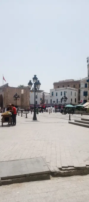 45 m2 Studio Apartments for Rent in Tunis Other