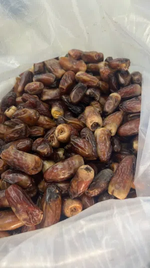 سح نغال للبيع