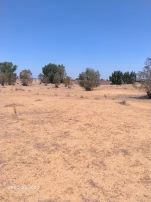 Farm Land for Sale in Tripoli Gasr Garabulli