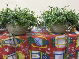 اكسسوارات زرع