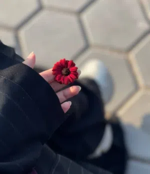أميرة بسام صالح 