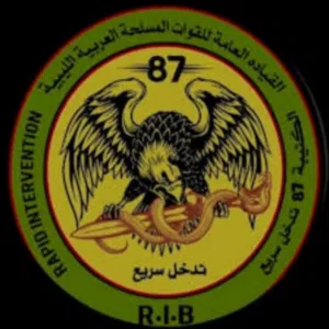 كتيبه87 R.I.B 