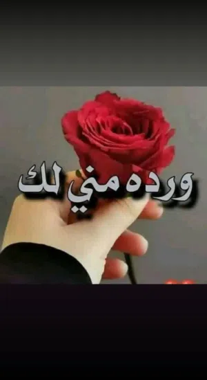وفاء دي تكم  للكترونيات 