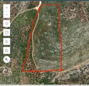 Mixed Use Land for Sale in Jenin Kafr Ra'i