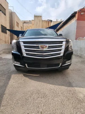 Used Cadillac Escalade in Amman