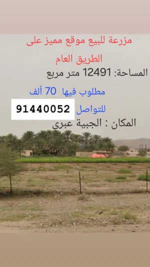 مزرعه للبيع عبري