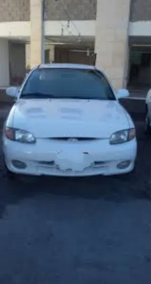 مصطفى يوسف كتانة 