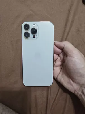 Apple . iPhone 13 Pro Max . 256 GB1