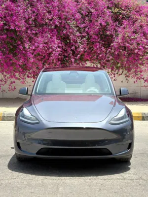 TESLA MODEL Y 2022 LONG RANGE DUAL MOTOR