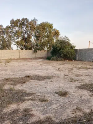 أرض سكنية أو إستثمارية