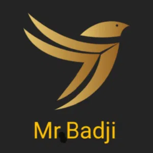 مستر بادجي Mr Badji 