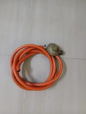 gas regulater with Hose