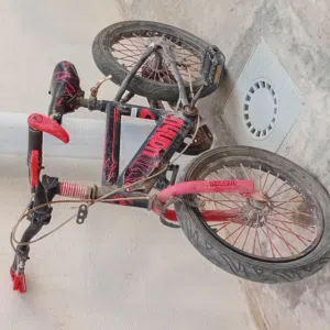 زوزبشاكليط للبيع