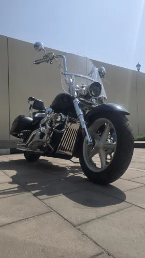 honda interested vt1300