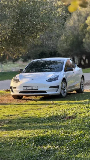 تيسلا موديل 3 فل مسكر اضافات tesla model 3 fully loaded 2023