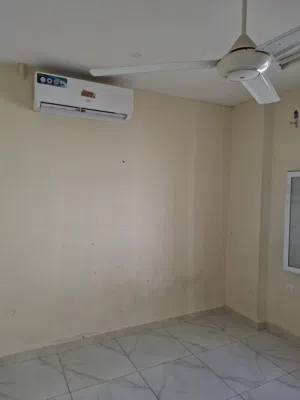 Shared Apartment