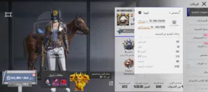 Pubg Accounts and Characters for Sale in Yanbu