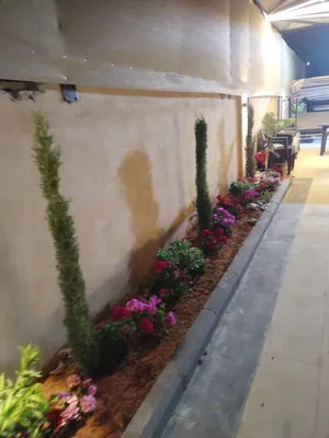 ‏٢ غرفتا نوم ‏.‏ مفروشة ‏.‏ يومي‏3